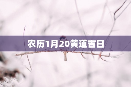 农历1月20黄道吉日