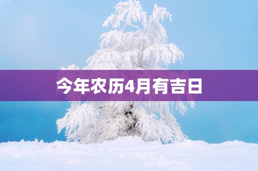今年农历4月有吉日
