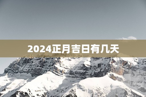 2025正月吉日有几天