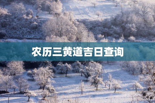农历三黄道吉日查询