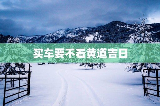 买车要不看黄道吉日