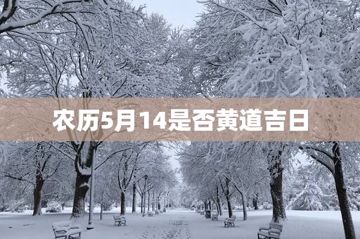 农历5月14是否黄道吉日
