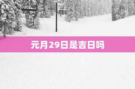 元月29日是吉日吗