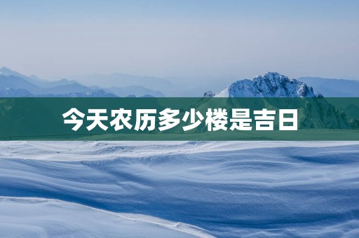 今天农历多少楼是吉日