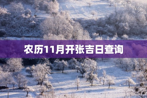 农历11月开张吉日查询