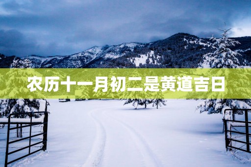 农历十一月初二是黄道吉日