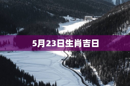 5月23日生肖吉日