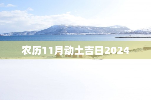 农历11月动土吉日2025