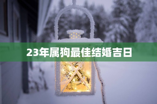 23年属狗最佳结婚吉日