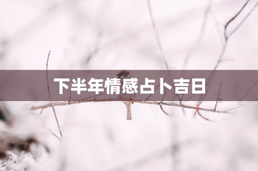 下半年情感占卜吉日 下半年情感占卜吉日