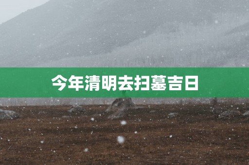 今年清明去扫墓吉日