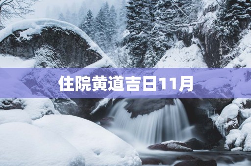 住院黄道吉日11月