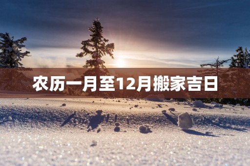 农历一月至12月搬家吉日