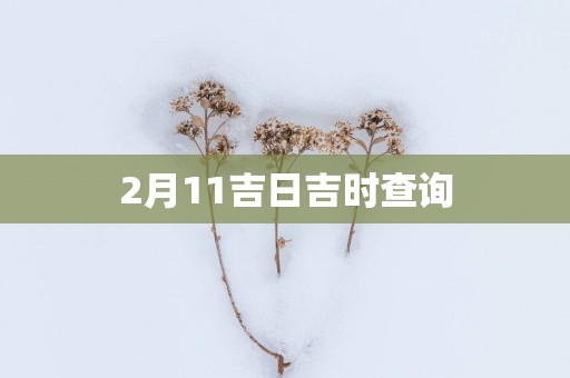 2月11吉日吉时查询