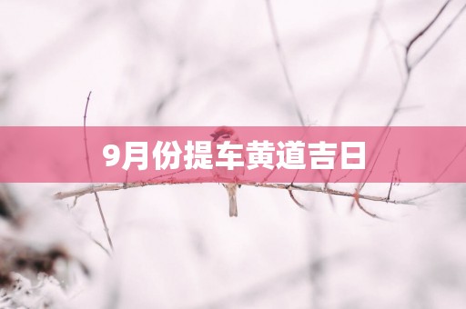 9月份提车黄道吉日