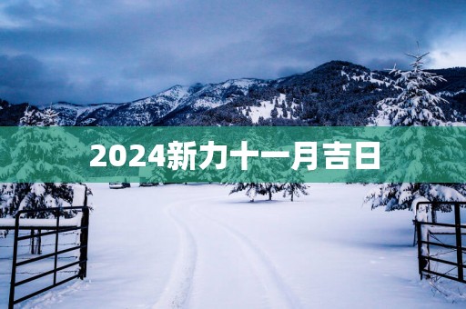2025新力十一月吉日