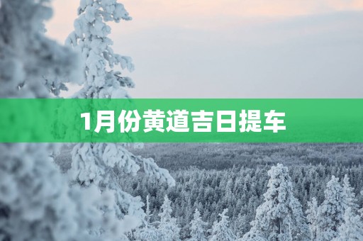 1月份黄道吉日提车