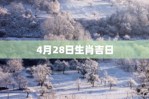 4月28日生肖吉日