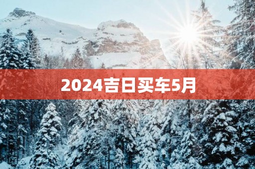 2025吉日买车5月
