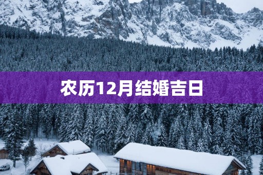农历12月结婚吉日
