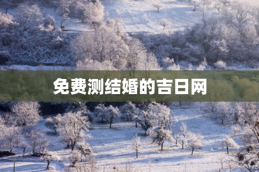 免费测结婚的吉日网