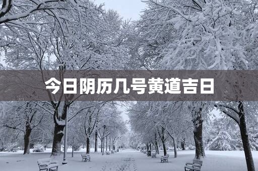 今日阴历几号黄道吉日