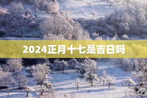2025正月十七是吉日吗