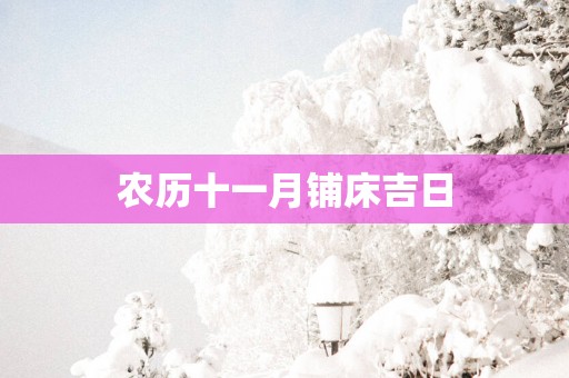 农历十一月铺床吉日