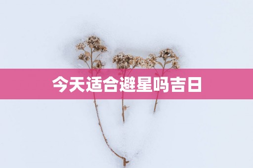 今天适合避星吗吉日