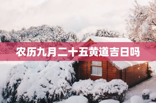 农历九月二十五黄道吉日吗