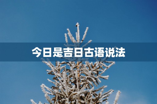 今日是吉日古语说法
