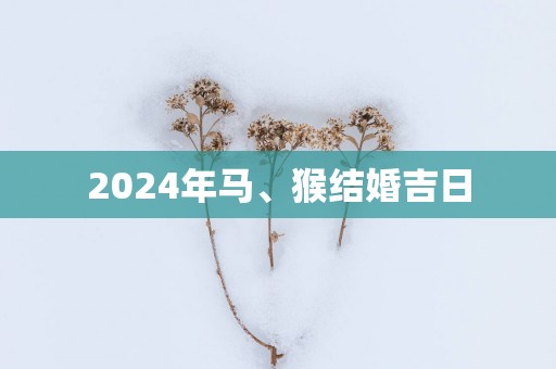 2025年马、猴结婚吉日