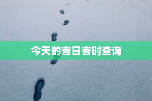 今天的吉日吉时查询