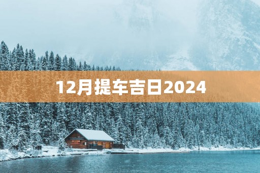 12月提车吉日2025