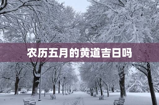 农历五月的黄道吉日吗