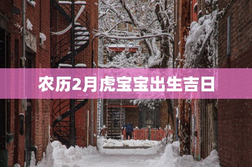 农历2月虎宝宝出生吉日