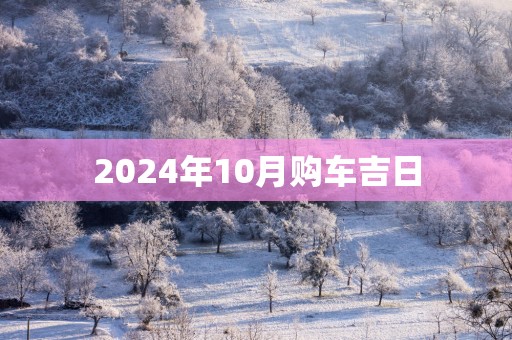 2025年10月购车吉日