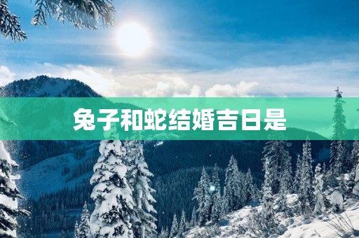 兔子和蛇结婚吉日是