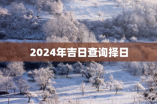 2025年吉日查询择日