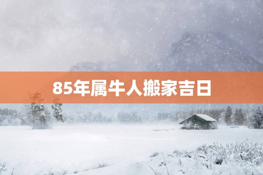 85年属牛人搬家吉日