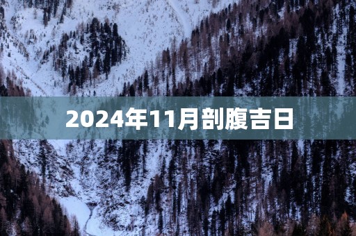 2025年11月剖腹吉日