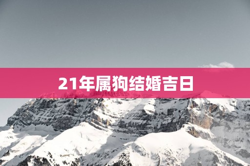 21年属狗结婚吉日