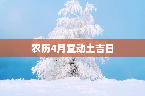 农历4月宜动土吉日