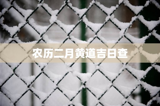 农历二月黄道吉日查