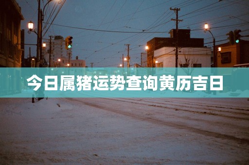 今日属猪运势查询黄历吉日