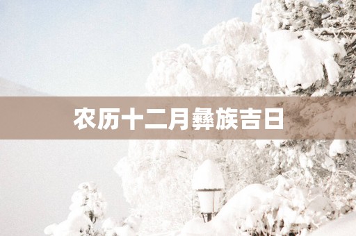 农历十二月彝族吉日
