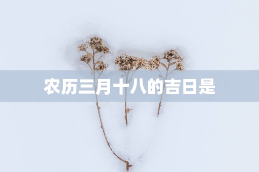 农历三月十八的吉日是