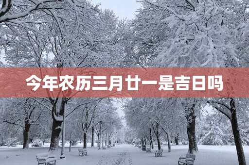 今年农历三月廿一是吉日吗