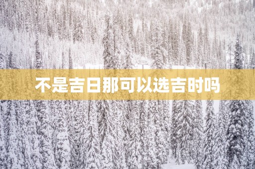 不是吉日那可以选吉时吗