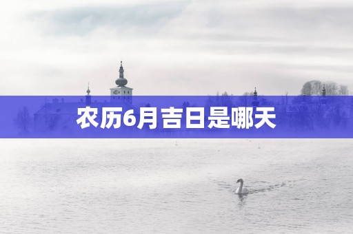 农历6月吉日是哪天